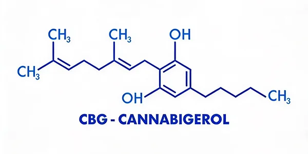 canabigerol cbg beneficios aplicacoes clinicas